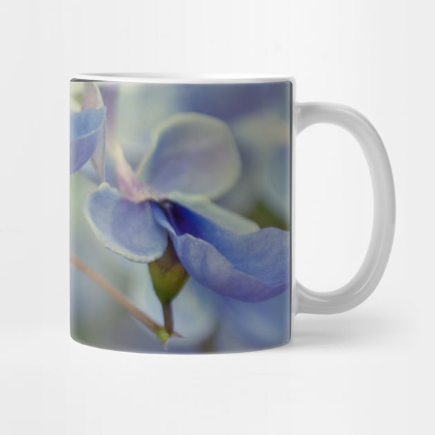 Unique Blue Flower with green leaves nature lovers beautiful photography design by BoogieCreates